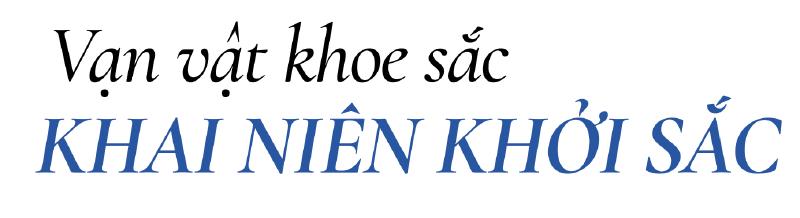 Rượu Chivas 21 hộp quà tết 2026 